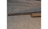 Ruger ~ 10/22 ~ .22 LR - 7 of 8