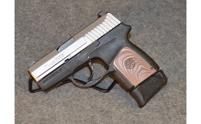 Sig Sauer ~ P290RS ~ .380 Auto - Image 2 of 5