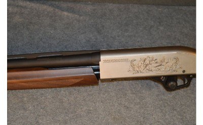 Winchester ~ SXP ~ 12 Gauge - Image 6 of 9