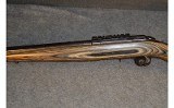 Ruger ~ American ~ .22 LR - 6 of 8