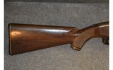 Remington ~ 10C ~ .22 LR - 2 of 8
