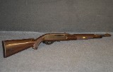 Remington ~ 10C ~ .22 LR - 1 of 8