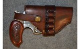 Bond Arms ~ Snake Slayer ~ .45 LC / .410 Bore - Image 6 of 6