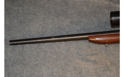 New England Firearms ~ Handi-Rifle ~ .223 Rem - Image 7 of 8