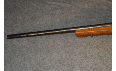 Springfield Armory ~ 1903 ~ .30-30 SPR - Image 7 of 8