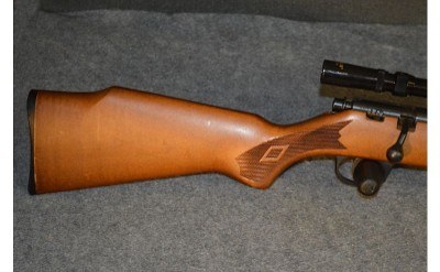 Marlin ~ 25N ~ .22 LR - Image 2 of 8