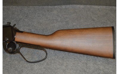 Henry ~ H001TLP ~ .22 S, L, LR - Image 5 of 8