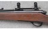 Remington ~ Model 600 ~ 6 MM Rem. - 7 of 9