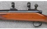 Remington Model 700 BDL Varmint ~ .22-250 Rem. - 9 of 9