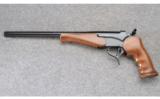 Thompson / Center Encore - .204 Ruger - 2 of 2