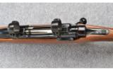 Ruger M77 Ultralight ~ .257 Roberts - 9 of 9