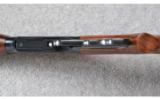 Winchester Model 64 (Japan) ~ .30-30 Win. - 5 of 9