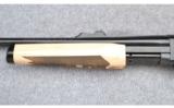 Remington Model 7600 ~ Special Edition ~ 6MM Rem. - 6 of 9