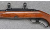 Winchester Model 88 (Pre '64) ~ .308 Win. - 7 of 9