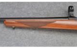 Ruger Model 77/17 ~ .17 HMR - 6 of 9