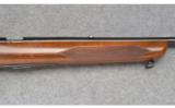 Winchester Model 75 ~ .22 LR - 4 of 9