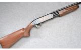 Browning BPS ~ .410 Bore - 1 of 9