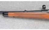 Winchester Model 70 (Pre 