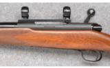 Winchester Model 70 (Pre 