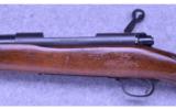 Winchester Model 70 Varmint (Pre '64) ~ .243 Win. - 7 of 9