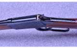 Winchester Model 1894 NRA Centennial Musket ~ .30-30 Win. - 9 of 9