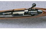 Remington Model Seven ~ .243 Win. - 9 of 9
