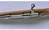 Colt Sauer Sporting Rifle ~ .243 Win. - 17 of 18