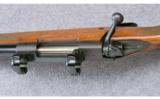 Winchester Model 70 Varmint (Post '64) ~ .243 Win. - 9 of 9