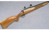 Winchester Model 70 Varmint (Post '64) ~ .243 Win. - 1 of 9