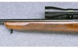 Winchester Model 43 ~ .22 Hornet - 6 of 9