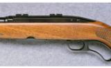 Winchester Model 88 (Post '64) ~ .284 Win. - 7 of 9