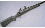 Winchester Model 70 Custom ~ .458 Win. Mag. - 1 of 9
