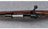 Winchester Model 70 Featherweight XTR ~ .308 Win. - 9 of 9