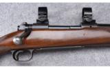 Winchester Model 70 (Pre '64) ~ .250-3000 Savage - 3 of 9