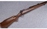 Winchester Model 70 (Pre '64) ~ .375 H&H Mag. - 1 of 9