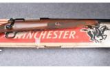 Winchester Model 70 XTR Featherweight ~ .270 Win. - 2 of 9