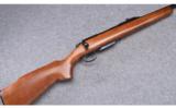 Remington Model 788 ~.22-250 - 1 of 9