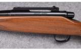 Remington Model Seven ~ .243 Win. - 7 of 9