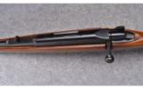 Remington ~ Model 788 LH ~ 6 MM Rem. - 9 of 9