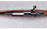 Winchester Model 70 XTR Featherweight ~ 6.5 X55mm - 9 of 9
