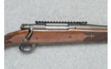 Winchester Model 70 Custom ~ 6.5 x. 284 Norma - 3 of 9