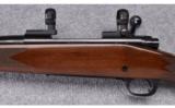 Winchester ~ Model 70 (Post '64) ~ .270 Win. - 7 of 9