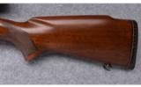 Winchester Model 70 (Pre '64) ~ .270 Win. - 8 of 9