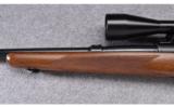 Winchester ~ Model 70 (Pre '64) ~ .22 Hornet - 6 of 9