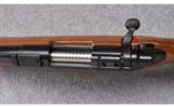 Remington ~ Model 700 BDL Varmint ~ .22-250 Rem. - 9 of 9