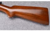 Winchester ~ Model 63 ~ .22 LR - 9 of 9