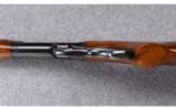 Winchester ~ Model 71 Standard ~ .348 Win. - 5 of 9