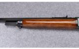 Winchester ~ Model 71 Standard ~ .348 Win. - 6 of 9