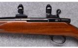 Weatherby ~ VanGuard Deluxe ~ .243 Win. - 7 of 9