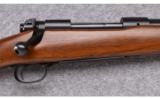 Winchester ~ Model 70 (Pre '64) ~ .264 Win. Mag. - 3 of 9